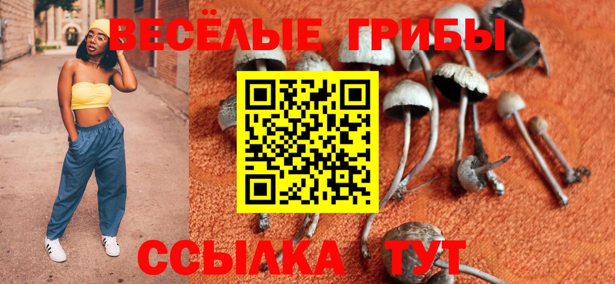 Электросталь  Псилоцибиновые грибы Magic Shrooms  Галлюциногенные грибы прущие грибы  Вход с VPN 